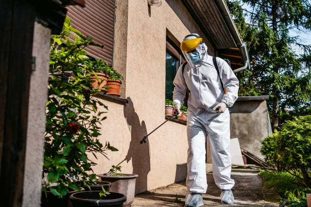 Best Bed Bug Extermination  in Jamul, CA