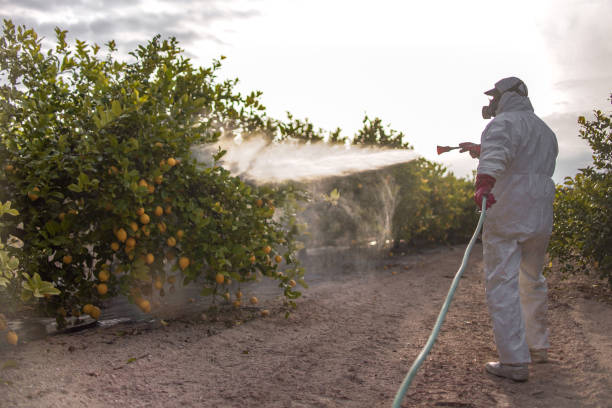 Best Best Pest Control Companies  in Jamul, CA