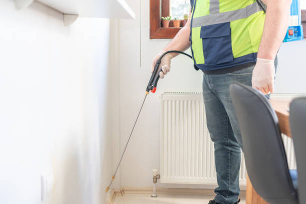 Best Ant Control Services  in Jamul, CA