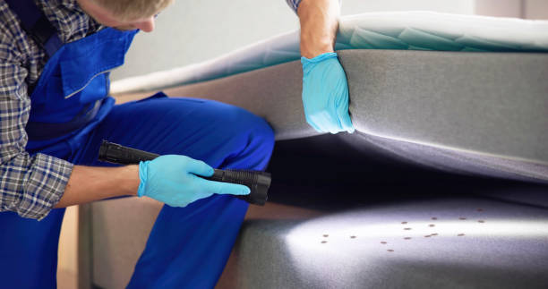 Best Pest Prevention Services  in Jamul, CA