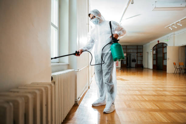Best Flea Control Services  in Jamul, CA