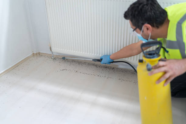 Professional Pest Control in Jamul, CA